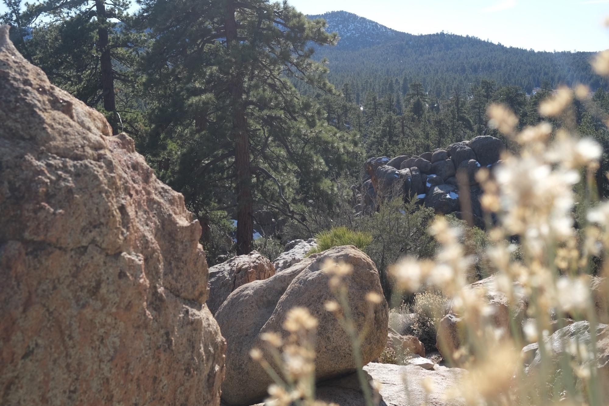 Holcomb Valley — Winter Sport Weekend — Coyote Crag