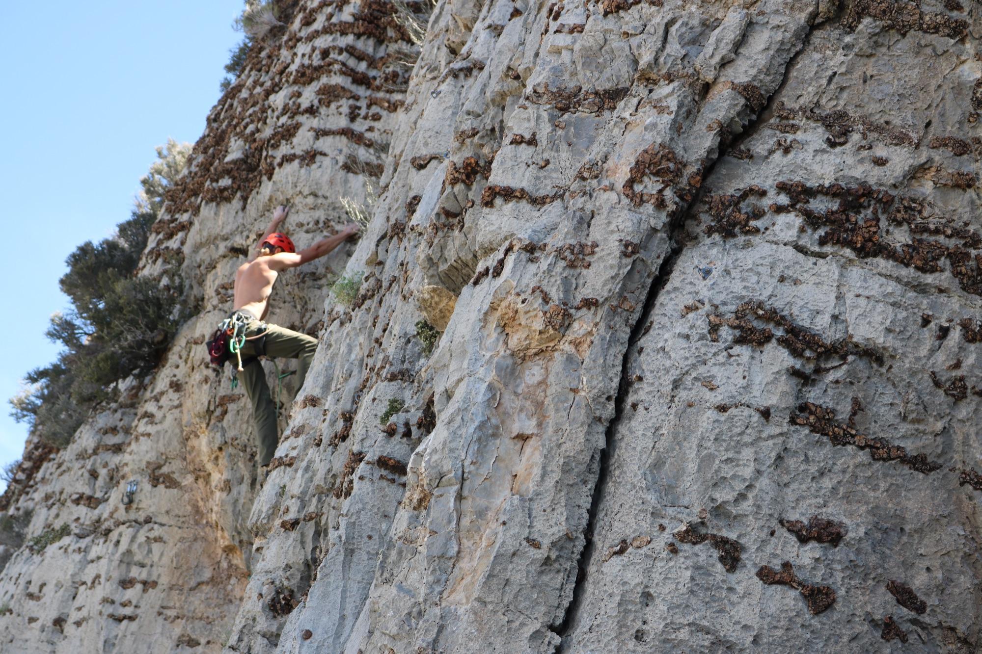 Climbing at Mt. Potosi, NV — Mt. Potosi — Spring Sport — Cuzcotopia Wall — photo 9